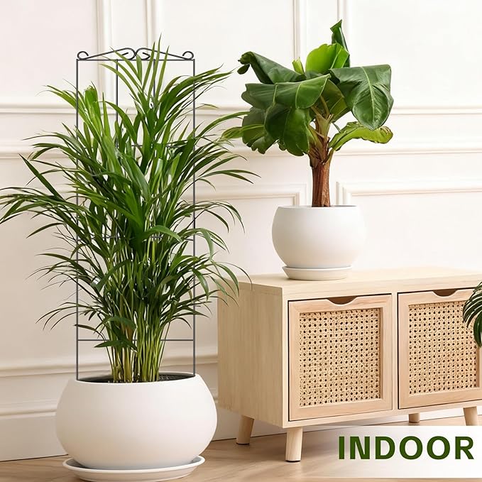 Trellis for Climbing Plants Indoor, 4 Pack 31'' Metal Plant Trellis Indoor for Potted Plants, Sturdy Plant Support Outdoor for Ivy Pothos Monstera Hoya Flower Vine, Rectangular Shape