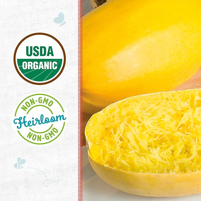 Back to The Roots 100% Organic Seed Packet - Squash 'Winter Vegetable Spaghetti' 2.8g