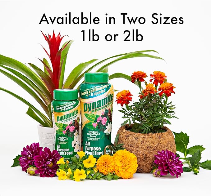 Dynamite 2 lb All Purpose 9 Month Plant Food