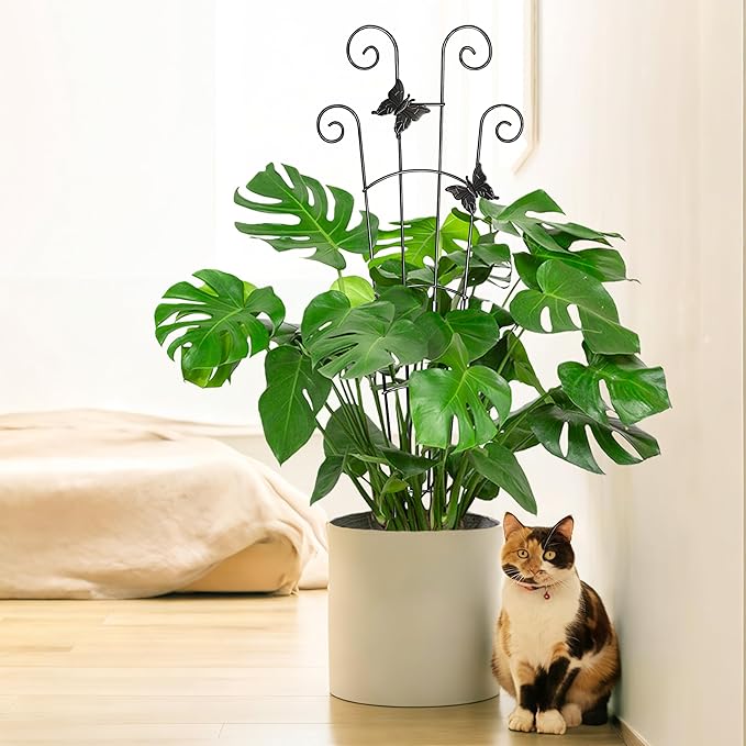 COOMIN 30'' Monstera Plant Support Outdoor, Metal Expandable Plant Supports for Indoor Plants, 4P Garden Trellis for Climbing Plants Indoor - Ivy, Pothos, Philodendron, Hoya