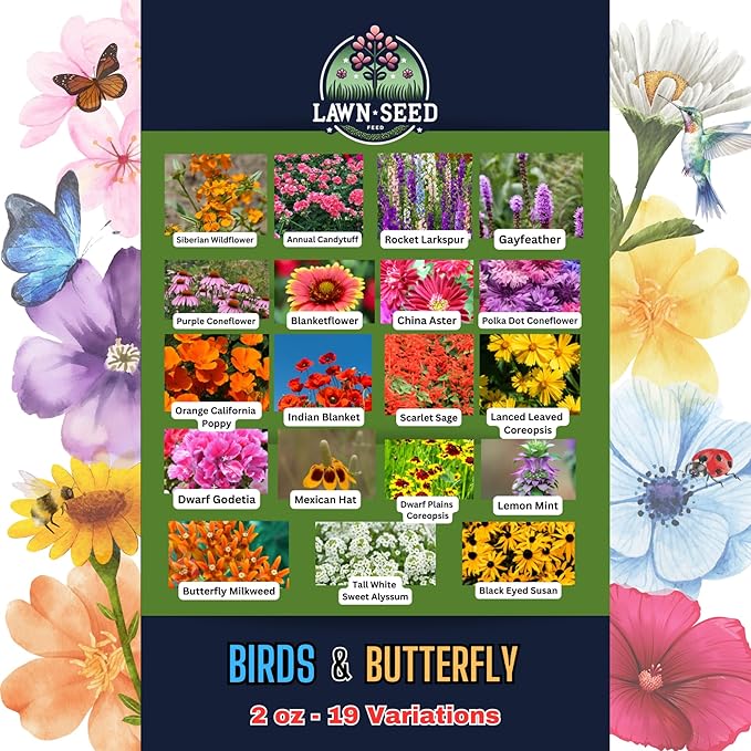 Birds & Butterfly Wildflower Mix (2oz) Sprinkle a Little Magic—Our Shade, Perennial, Hummingbird, Deer-Resistant, and Other mixes Bring Vibrant Color and pollinator Joy to Any Space.