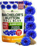 HOME GROWN Bachelor Button Seeds Tall Blue - 6000 Cornflower, Stunning Blue Blooms for Wildflower Gardens, Non-GMO Flowers & Pollinator-Friendly Spaces, Low Maintenance Flower Seeds (Centaurea cyanus)