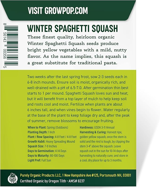 Organic Squash Seeds (Winter Spaghetti) - Approx 20 Seeds - USDA Organic, Non-GMO, Open Pollinated, Heirloom, USA Origin