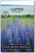 Sow Right Seeds - Wild Blue Lupine Seeds for Planting - Non-GMO Heirloom Perennial - Easy to Grow - Beautiful Purple Flowers for Gardens and Landscapes - Ideal for Bee and Butterfly Attraction (1)