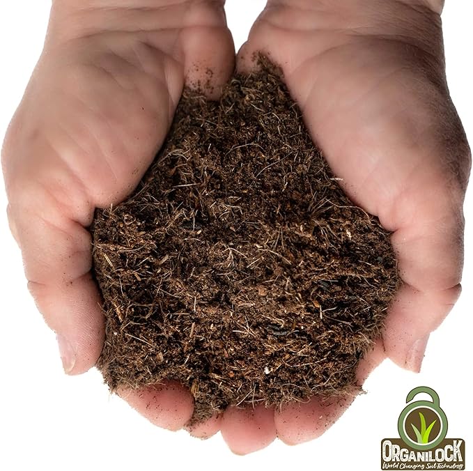 Raised Bed Rehab Potting Garden Soil for Growing (2 Pound Bag)