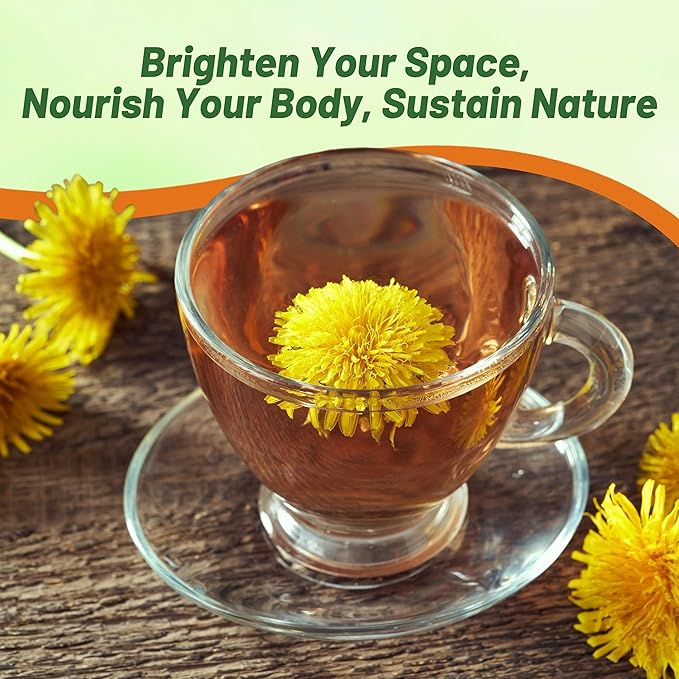 Outsidepride Dandelion Seeds for Planting - 5,000 Seeds Perennial, Easy to Grow & Drought Tolerant, Taraxacum Officinale Herb Seeds with Yellow Blooms for Edible Landscaping & Wildlife Attraction