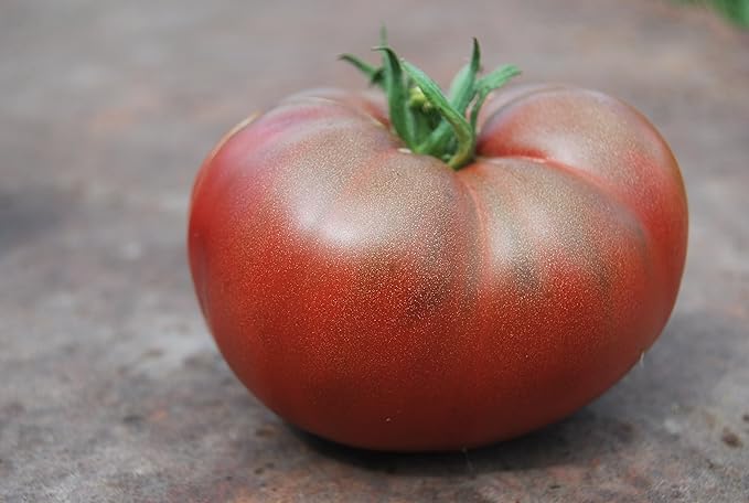 Seeds4planting - Seeds Tomato Black Elephant Giant Heirloom Vegetable Non GMO