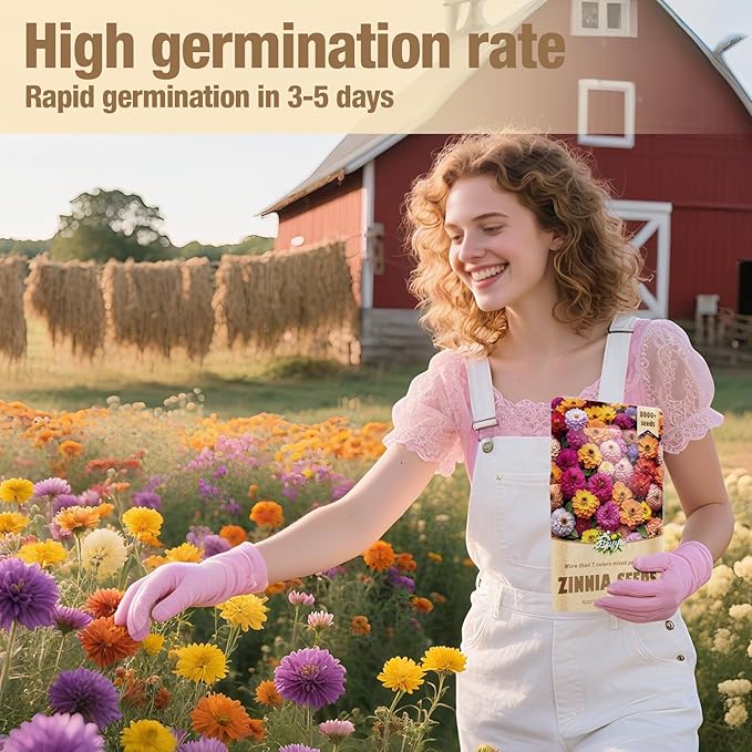8000+ Zinnia Flower Seeds for 2026-7+ Color Mix, High Germination Rate, Perfect for Gardens, Mix Zinnia Wildflower Seeds, Mixed Colors and Large Blooms, Easy to Grow, Large 2 Ounce Packet