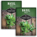Survival Garden Seeds - Holy Basil Seed for Planting - 2 Packets with Instructions to Plant and Grow the Indian Sacred Herb Tulsi in Your Home Vegetable Garden - Non-GMO Heirloom Variety - Basil Plant
