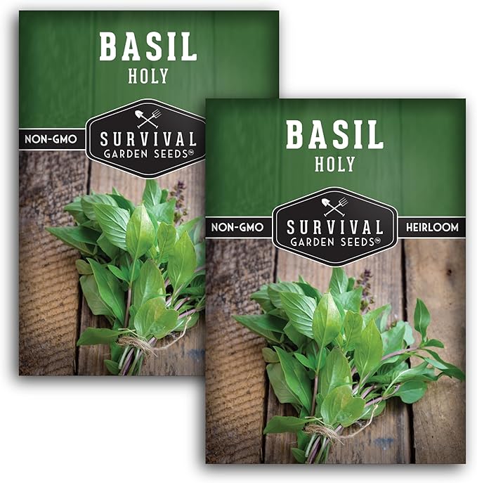 Survival Garden Seeds - Holy Basil Seed for Planting - 2 Packets with Instructions to Plant and Grow the Indian Sacred Herb Tulsi in Your Home Vegetable Garden - Non-GMO Heirloom Variety - Basil Plant
