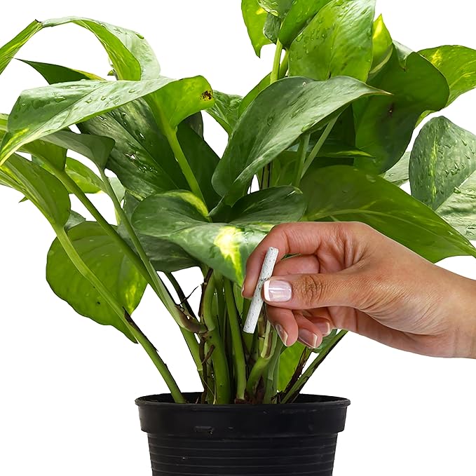 Jobe's Plant Food Fertilizer Spikes, Easy Plant Care for All Indoor Flowering Houseplants, 50 Count