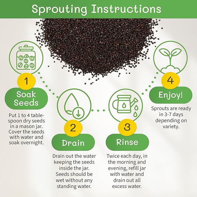 The Sprout House Broccoli Sprouting and Microgreen Seeds - Premium Organic Broccoli Sprouts, Non-GMO, High-Germination, Easy to Grow, Resealable Bag, Sulforaphane Rich Superfood,16oz