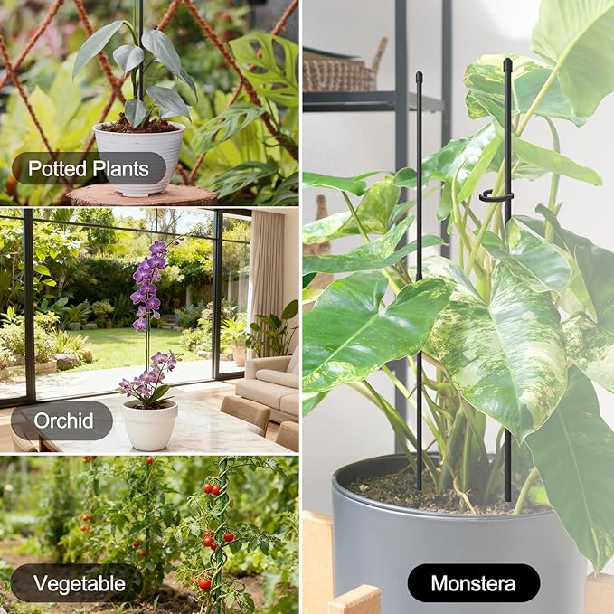 Plant Stakes for Indoor Plants, RIFNY 14 Inch Plant Support Stakes with Clips, Tall Adjustable Plant Sticks for Indoor Monstera Tomato Orchid Potted Plants Flower (10 PCS, Black)