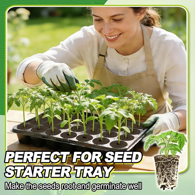 Bigmeta 50 Pcs Rooting Sponges, Starter Plugs for Seedlings or Cuttings, Rapid for Soil, Tray or Planting Pods Plant Rooter, Promotes Herbs Vegetable Flowers Growth