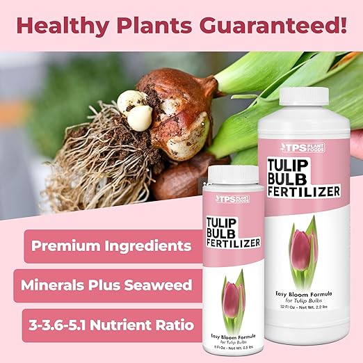 Tulip Bulb Fertilizer – Liquid Plant Food for Bigger Blooms & Stronger Bulb Development, 8 oz