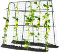 Garden Trellis for Climbing Plants Outdoor, Metal Cucumber Trellis Plant Support for Outdoor Vegetables Fruits Flowers Vines Cucumber Trellis Raised Bed, with Nylon Netting, 63" Hx 63" L, Black