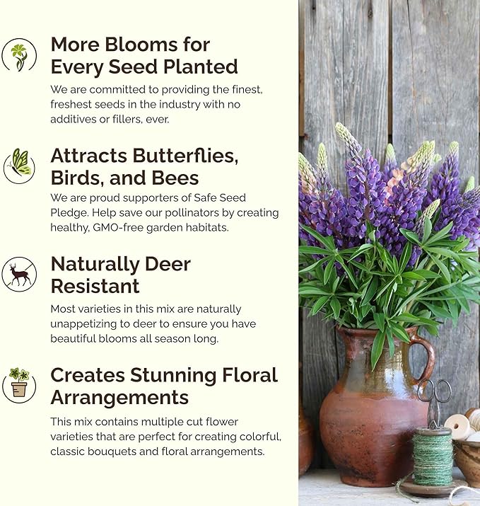 Eden Brothers Oklahoma Wildflower Mixed Seeds for Planting, 1 oz, 30,000+ Seeds with Lupine, WallFlower | Attracts Pollinators, Plant in Spring or Fall, Zones