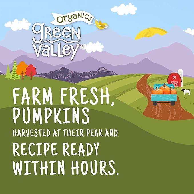 Green Valley Organics Pumpkin | Certified Organic | 100% Dickinson Variety | Sweet Earthy Delicious | Firm & Smooth | Vibrant Autumn Orange | American Grown & Made | 15 oz (Pack of 4)