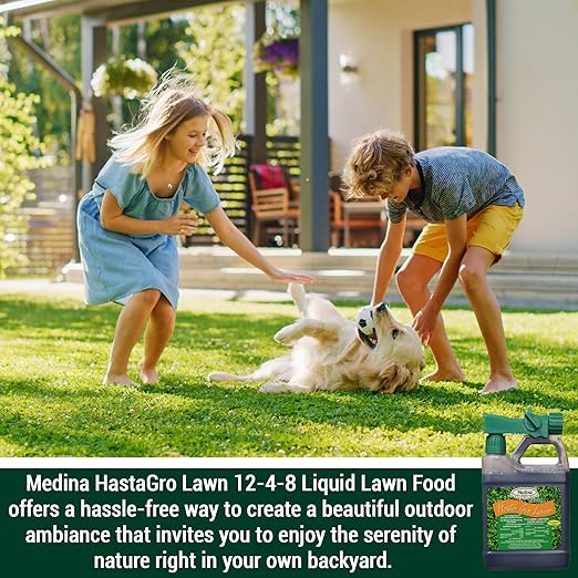 Medina HastaGro Liquid Lawn Fertilizer - 12-4-8 Liquid Fertilizer for Lawns, Ready to Spray Grass Fertilizer for Lawn Care, Lawn Food for Vibrant Green Lawns, 1 Qt - Treats Up to 4000 Sq Ft