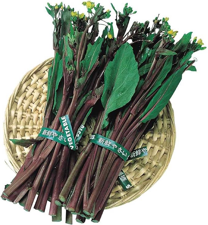 Yu Choy Sum Seeds - Kosaitai - Hon Tsai Tai - 1 Oz ~8600 Seeds - Non-GMO, Heirloom - Asian Garden Vegetable