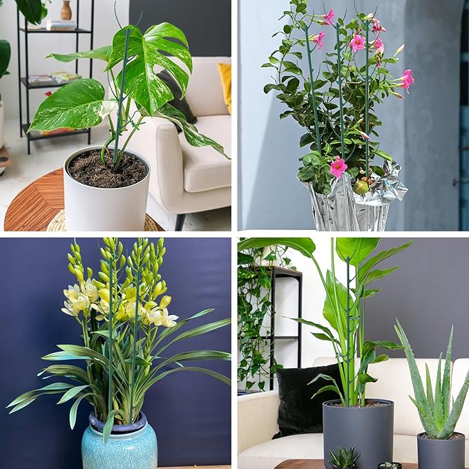 15 Packs Stackable Monstera Plant Support, 11 inch Plant Stakes with 131ft Garden Twist Tie & 10 Plant Clips for Indoor and Outdoor Plants Use Garden Trellis for Climbing and Potted Plants