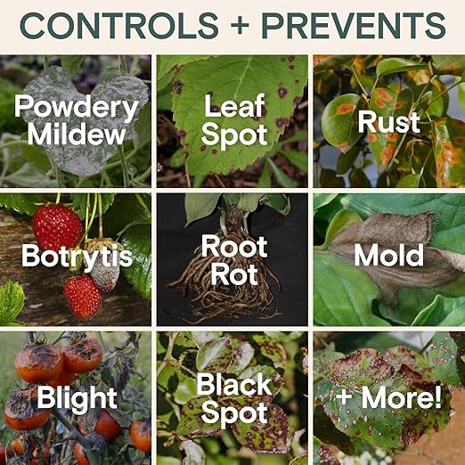 Organic Liquid Plant Food & Fertilizer – Indoor/Outdoor for Houseplants, Vegetables & Flowers, Monstera & Money Tree – OMRI Listed, Pollinator Safe – Easy Weekly Mix (Nutrition & Health Set)