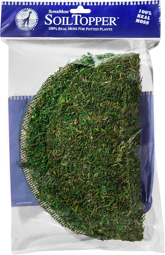 SuperMoss (26310) Moss Soil Toppers (Place Mats), Fresh Green, 10" (3 units)