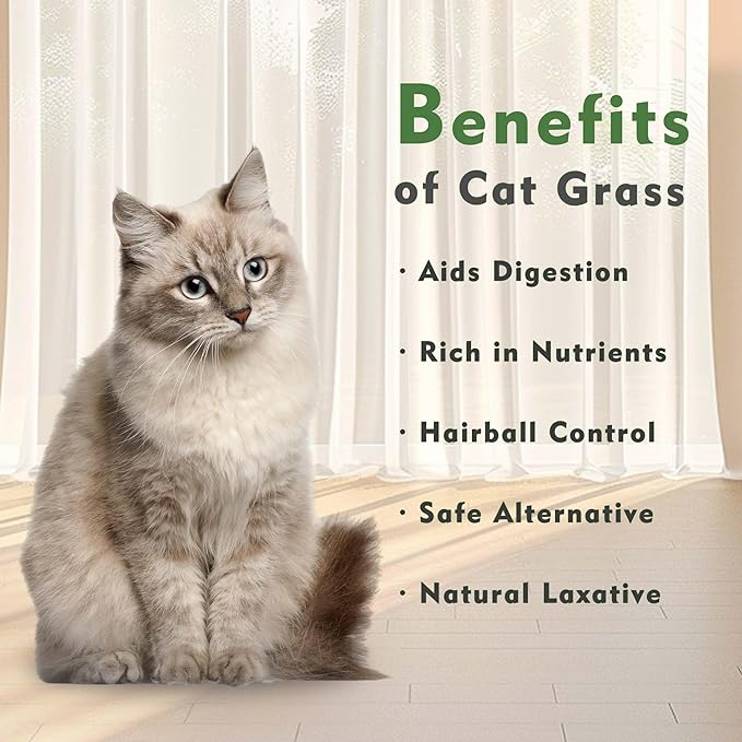 The Environet Cat Grass for Indoor Cats, Cat Grass Kit with Organic Seeds Mix and Hydroponic Sprout Tray, 100% Non-GMO, Hairball Control, Digestion Support, Ideal Gift for Cat Lovers