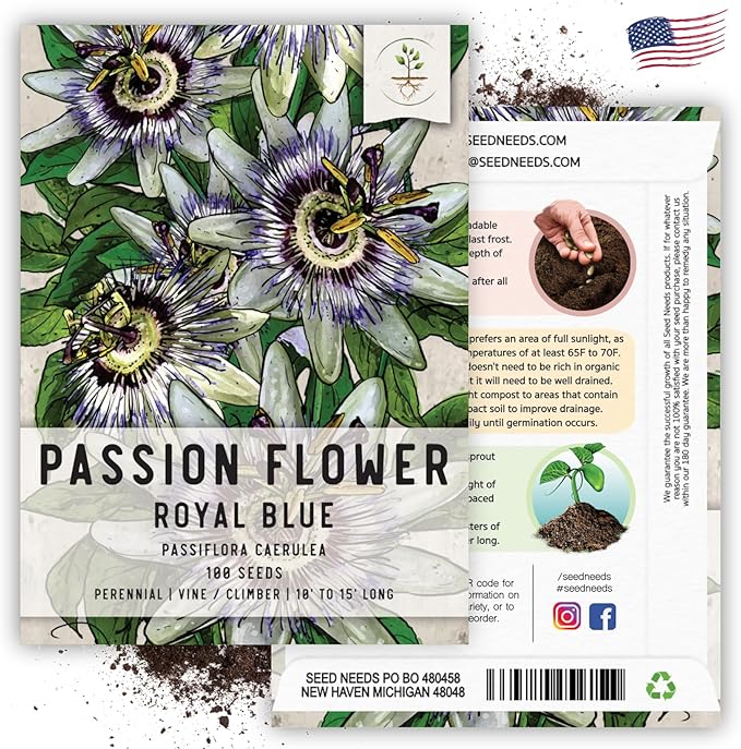 Seed Needs, Royal Blue Passion Flower Seeds - 100 Heirloom Seeds for Planting Passiflora caerulea - Open Pollinated Tropical Vine Produces Exotic Blooms (5 Packs)