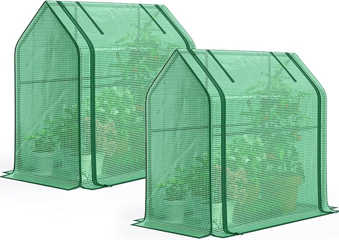 Quictent Mini Greenhouse for Indoor, 2-Pack Tabletop Portable Small Green House Waterproof UV Protected Cover Shelter for Outdoors, Garden Plant Seed Starting Nursery, 36"x18"x33", Green