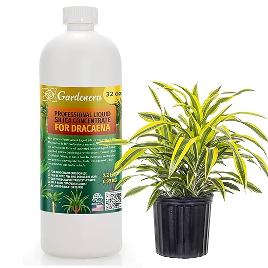 𝐏𝐑𝐎𝐅𝐄𝐒𝐒𝐈𝐎𝐍𝐀𝐋 Liquid Silica Plant Supplement - 32oz - Dracaena Plants Liquid Silica Boost Fertilizer - Stronger Stems & Healthy Leaves for Indoor & Outdoor Dracaenas (Makes 180 Gallons)