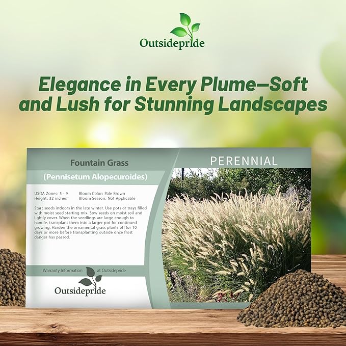 Outsidepride Pennisetum Alopecuroides Fountain Ornamental Grass Seeds - 200 Pcs Perennial, Drought Tolerant Fountain Grass with Bottle-Brush Plumes for Low Maintenance Xeriscapes & Flower Arrangements