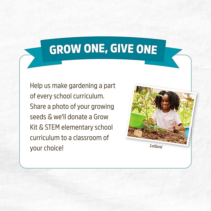 Back to The Roots 100% Organic Seed Packet - Chili Pepper 'Poblano' 140mg