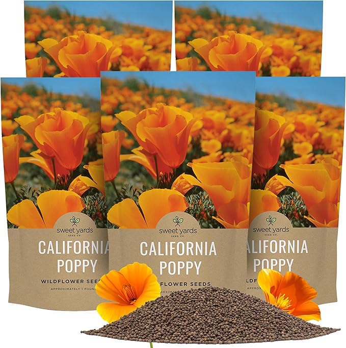 Bulk California Orange Poppy Wildflower Seeds - 5 Pounds - Over 1,600,000 Native Seeds - California State Flower!