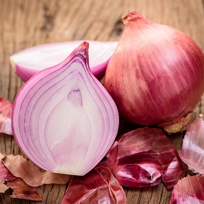 Seed Needs Onion Seeds for Planting Red Burgundy Short Day Onions - Non-GMO Heirloom & Untreated Vegetable Seeds to Plant an Outdoor Home Grown Veggie Garden (1 Pack)