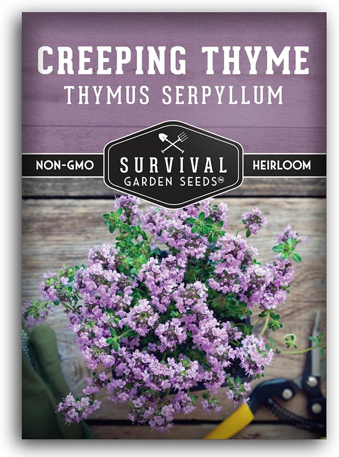 Creeping Thyme Seeds - Perennial Ground Cover Herb for Planting, Low Growing Lawn Alternative, Pollinator Friendly Garden - Heirloom Non-GMO Open Pollinated - Survival Garden Seeds (1 Pack)