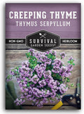 Creeping Thyme Seeds - Perennial Ground Cover Herb for Planting, Low Growing Lawn Alternative, Pollinator Friendly Garden - Heirloom Non-GMO Open Pollinated - Survival Garden Seeds (1 Pack)