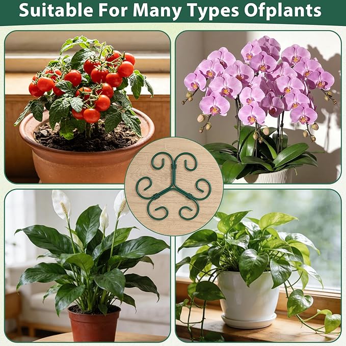 4 Pcs Plant Stem Supports for Indoor Plants, Iron Monstera Plant Support Stakes Plant Supports for Indoor Plants Holders Climbing and Thriving Growth Decorative Accessories