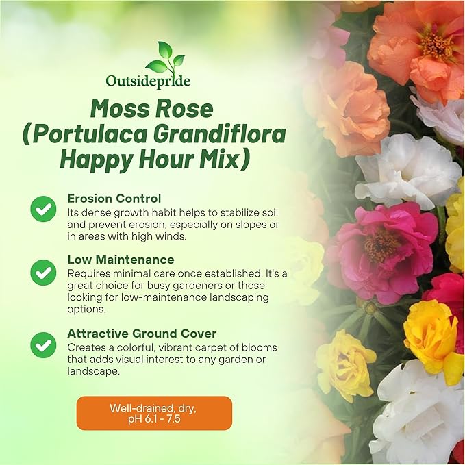 Outsidepride Happy Hour Mixed Moss Rose Seeds - 500 Pcs Annual, Drought & Heat Tolerant, Pollinator Friendly Ground Cover Seeds for Planting w/Vibrant Blooms & Succulent Foliage, for Xeriscaping
