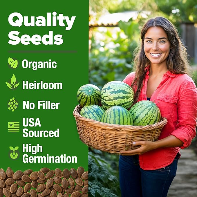 HOME GROWN Non GMO Organic Watermelon Vegetable Seeds (Crimson Sweet) 15 Non-GMO, Heirloom Water Melon (7g) for Planting in Home Gardens or Beds Outdoors Citrullus lanatus