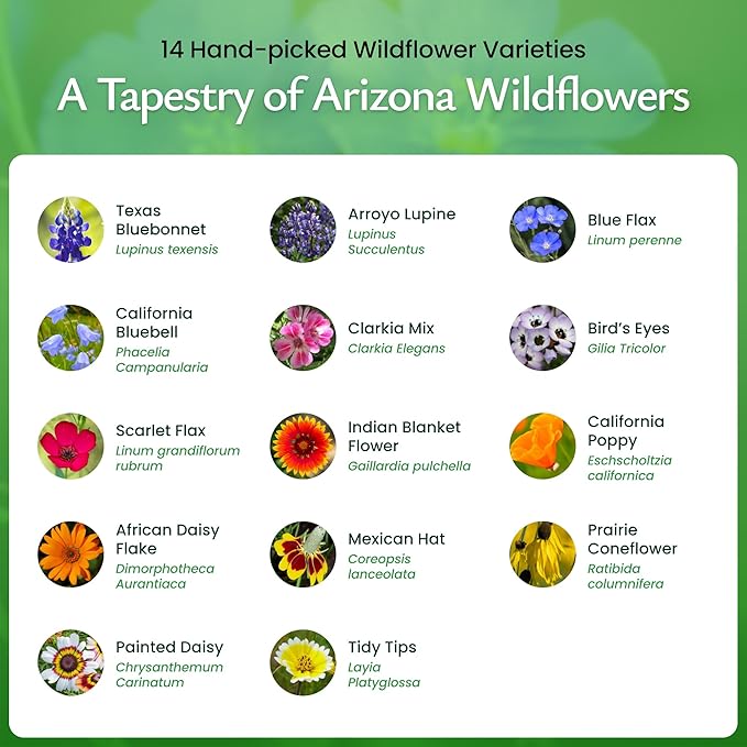 Created By Nature Arizona Wildflower Seed Mix with Poppy and Lupine Seedds, 14 Flower Varieties, 30,000+ Seeds