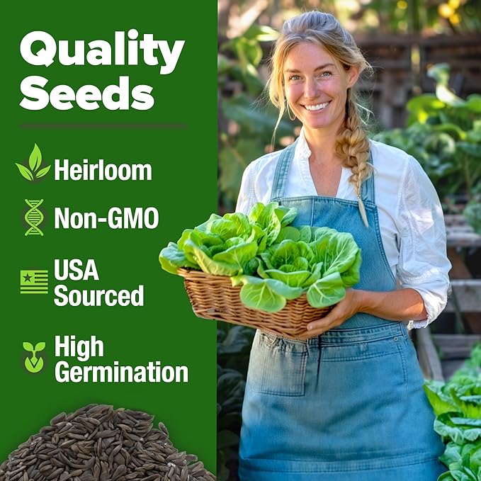 HOME GROWN Non GMO Buttercrunch Lettuce Seeds Bulk Pack - 1975 Heirloom Seeds for Hydroponic Garden Indoor Outdoor - Butter Lettuce Vegetable for Planting (Lactuca Sativa)