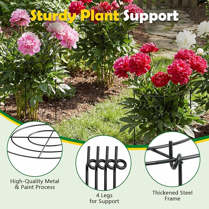 Peony Cages and Supports 4 Pack, 12x16 Inch Heavy Duty Metal Plant Cage for Outdoor Plants – Grow Through Flower Support Rings for Peonies, Roses, Tomatoes & Hydrangeas