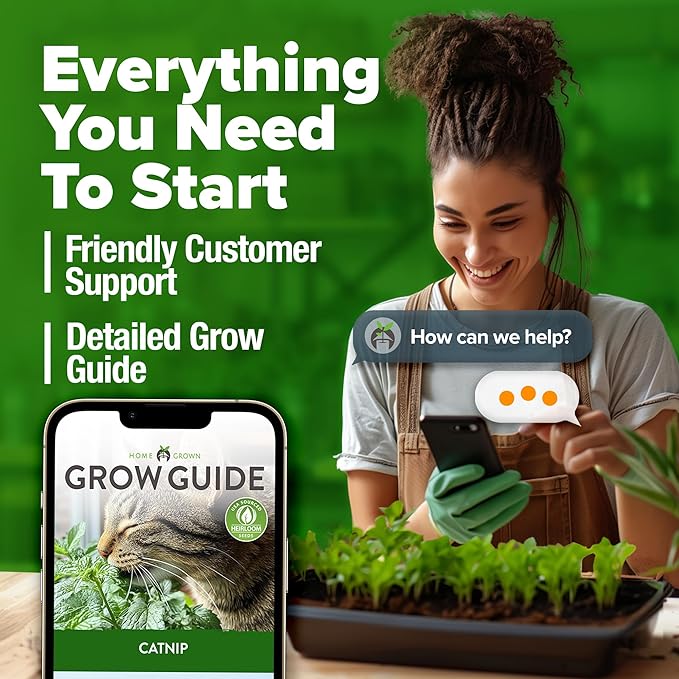 HOME GROWN Catnip Seeds (2 Pack) Heirloom Herb 4232 Seeds - Indoor or Outdoor Seed - High-Germination Cat Nip - Cat Safe Plants (Nepeta cataria)