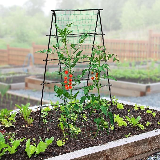 Garden Trellis for Climbing Plants, 71" H x 32" W Metal A-Frame Cucumber Trellis Outdoor Fruits Watermelon Plants Vegetable Tomato Squash Peas Beans, with Netting, Black