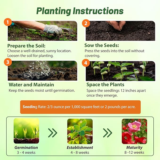 Outsidepride Shirley Poppy Seeds for Planting - 1/4 lb Annual, Drought-Tolerant & Easy to Grow Wildflower Seeds with Vibrant Mix Blooms for Landscaping, & Pollinator Garden