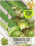 Seed Needs Tomatillo Seeds for Planting Grande Rio Verde Tomatillos - Non-GMO Heirloom & Untreated - Grow a Home Grown Outdoor Vegetable Garden - Great for Salsa & Mexican Cuisine (5 Packs)