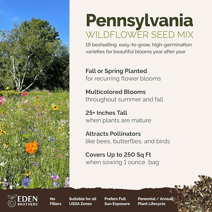 Eden Brothers Pennsylvania Wildflower Mixed Seeds for Planting, 1 oz, 30,000+ Seeds with Coreopsis, Lupine | Attracts Pollinators, Plant in Spring or Fall, Zones