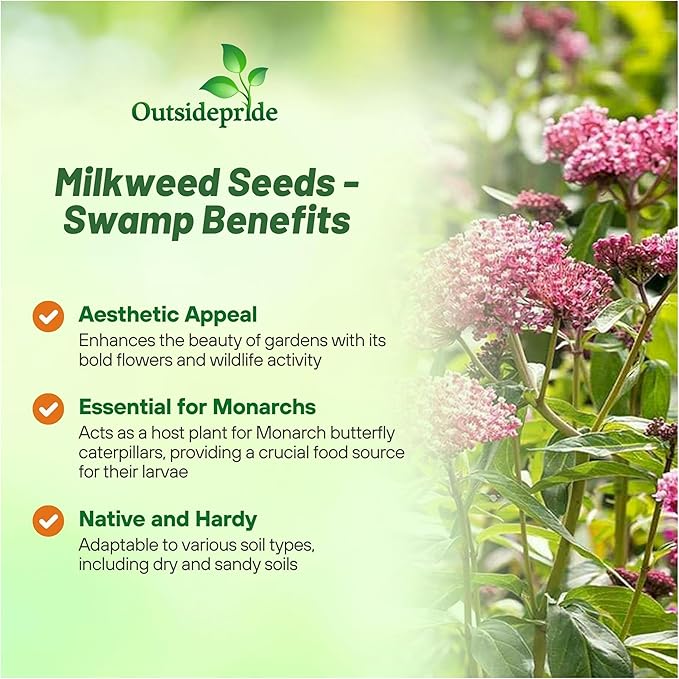 Outsidepride Swamp Milkweed Seeds - 500 Pcs Perennial, Heat & Humid Tolerant, Pollinator-Friendly Wildflower Seeds, Ideal for Monarch Butterflies, Cut Flowers, Borders, or Meadows