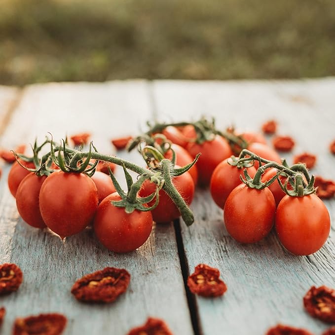 Principe Borghese Tomato - 50 Seeds - Italian Heirloom Sun-Drying Tomato, Open-Pollinated Variety, USA-Grown, Non-GMO Vegetable Seeds for Planting Outdoors in The Home Garden, Thresh Seed Company